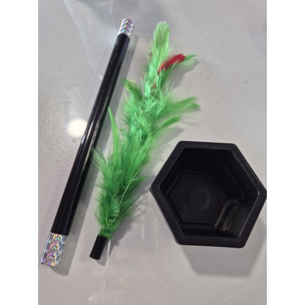 ΡΑΒΔΑΚΙ ΜΕ ΛΟΥΛΟΥΔΙ