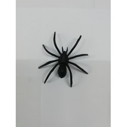 Αράχνη ψεύτικη